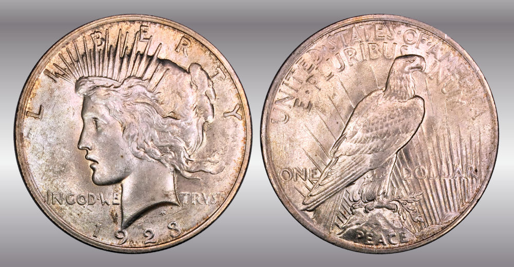 My-Raw-Peace-Dollar-Collection.-.-.-.-Warning!